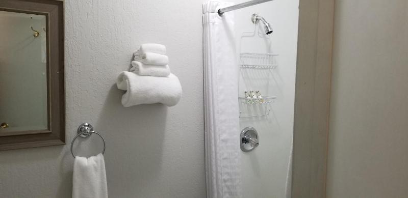 Single Room image 2
