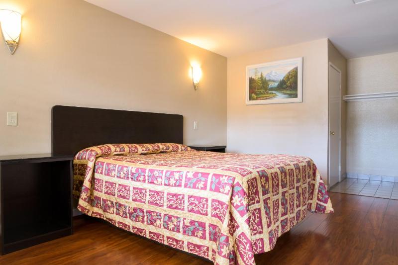 Large Single Room image 3