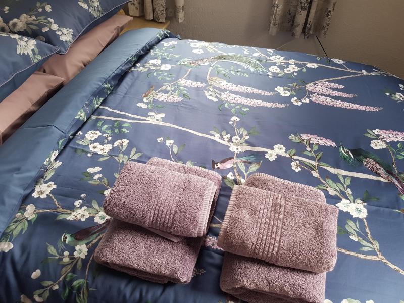 Alexandra Lodge Guest House - image 6