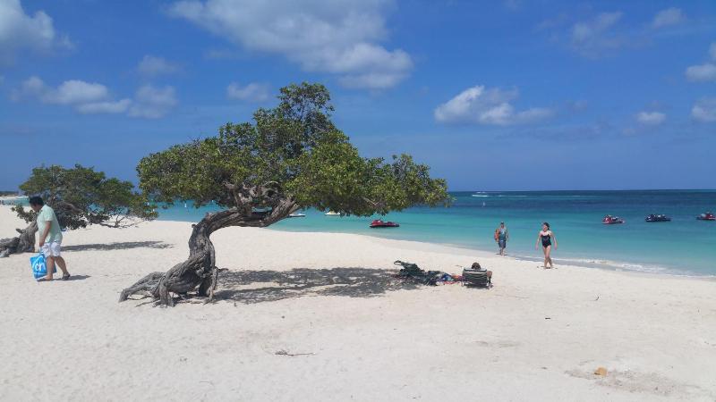 Arubahome - image 10