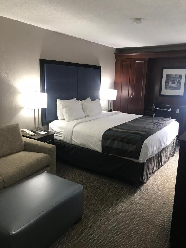 Deluxe King Room - Non-Smoking image 4