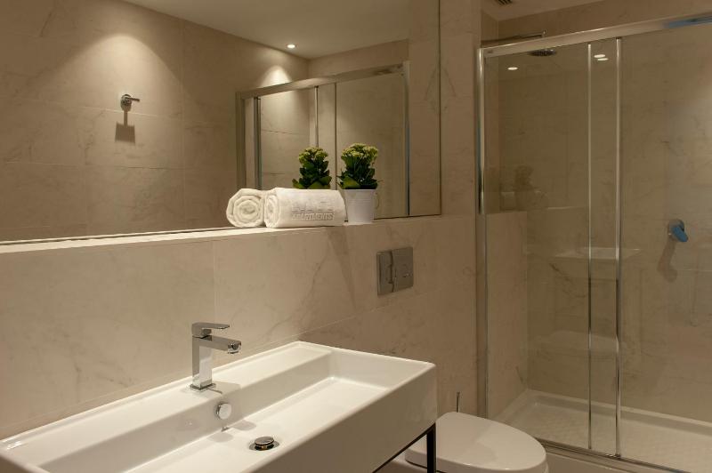 One-Bedroom Penthouse image 3