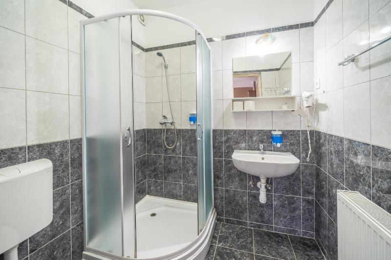 Silver Hotel Budapest City Center - image 12