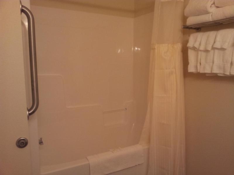 One-Bedroom Queen Suite image 3