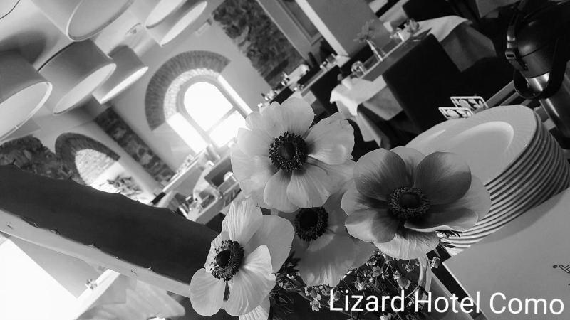 Lizard Hotel - image 9