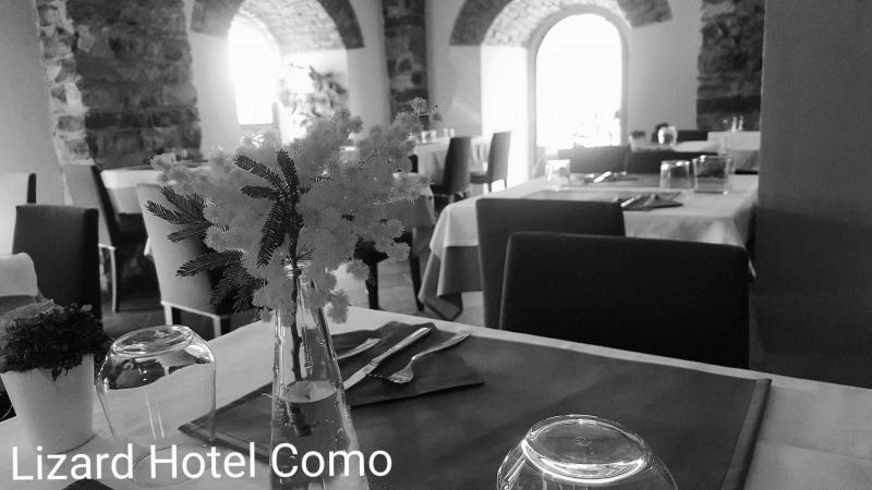 Lizard Hotel - image 17