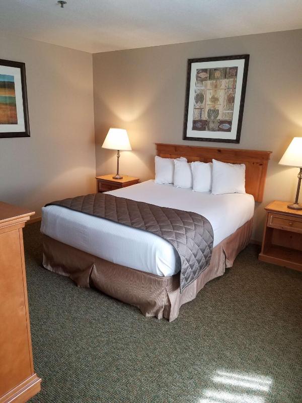 King Room with Roll-In Shower - Disability Access image 2