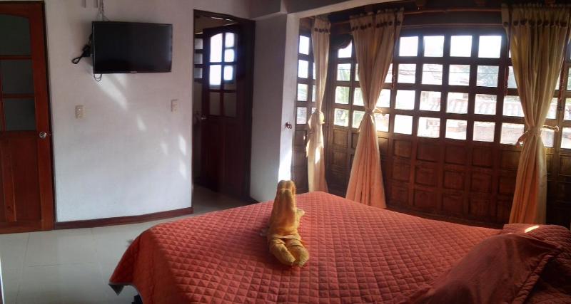 Chez Alicia Hostal - image 8