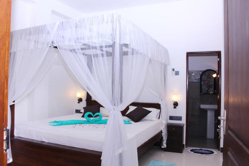 Turtle Reef Guest - image 15