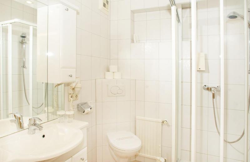 One-Bedroom Apartment image 4