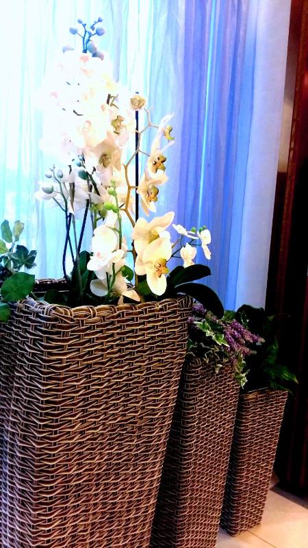 Hotel Bellevue - image 38