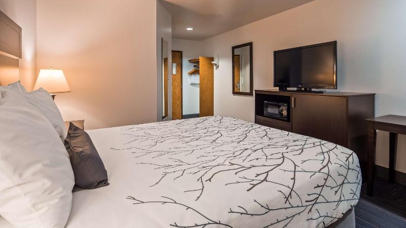 Queen Room - Pet Friendly image 3