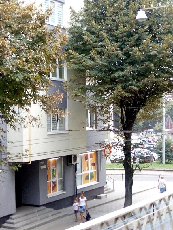 Flat on Sheptytskykh - image 5