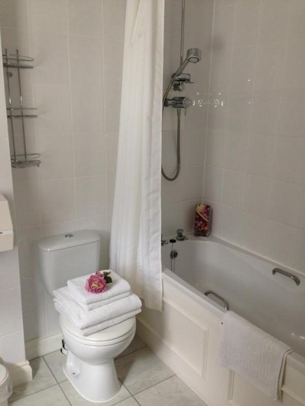 Standard Double Room image 4