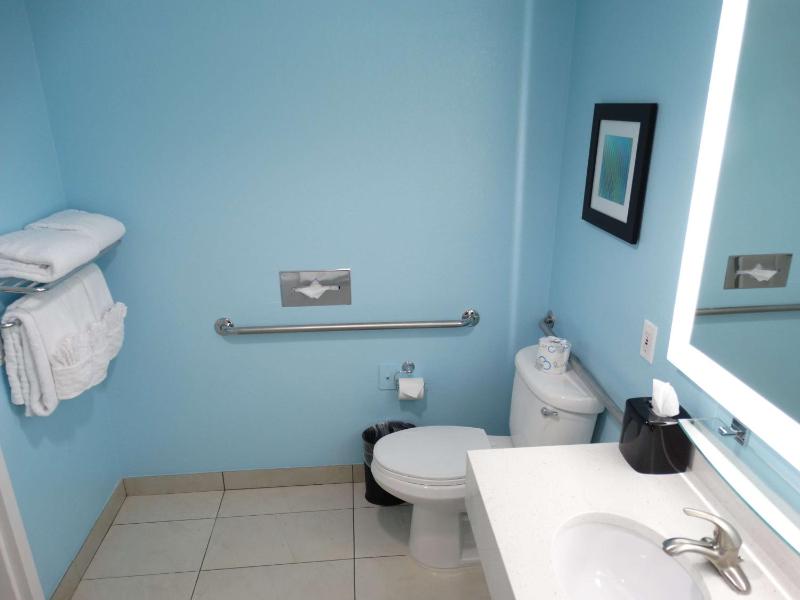 King Room with Roll-In Shower - Mobility Access image 2