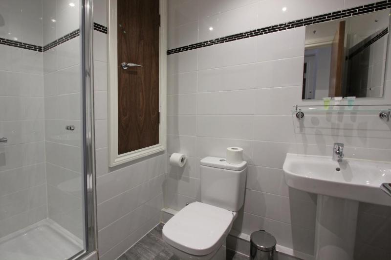One-Bedroom Apartment image 3