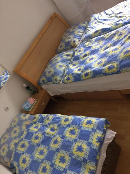 Single Room with Shared Shower and Toilet image 3