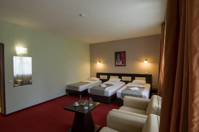 Twin Room with Extra Bed (2 Adults + 1 Child) image 2