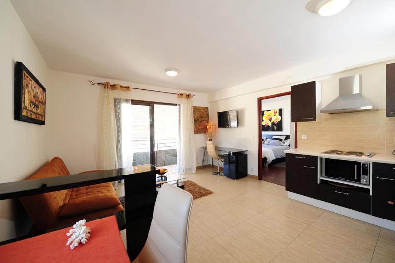 Appartement central wifi rapide parking gratuit - image 15