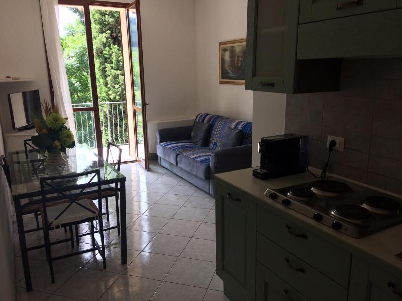 One-Bedroom Apartment image 4
