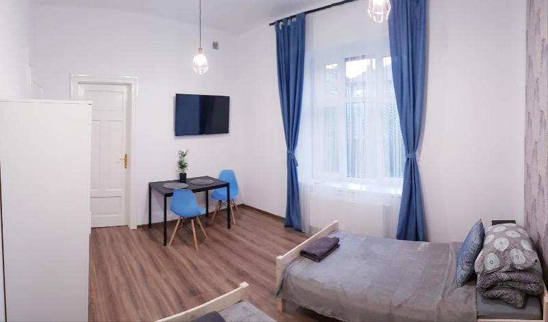 Large Twin Room image 4