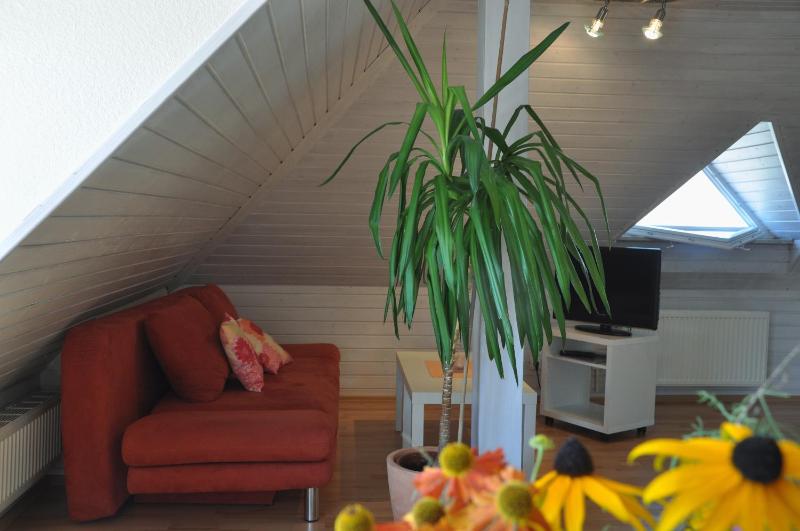 BodenSEE Apartment Friedrichshafen Fischbach - image 19