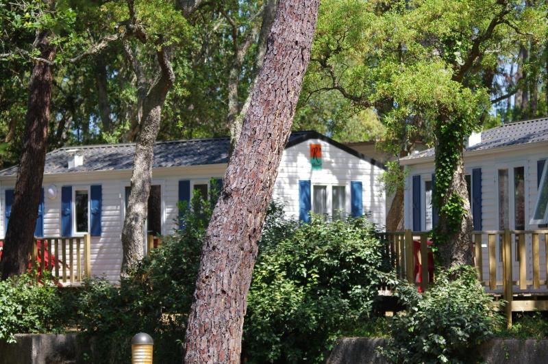 Two-Bedroom Mobile Home image 1