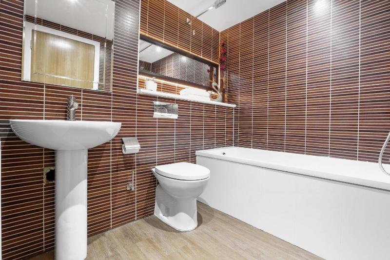 One-Bedroom Apartment image 2