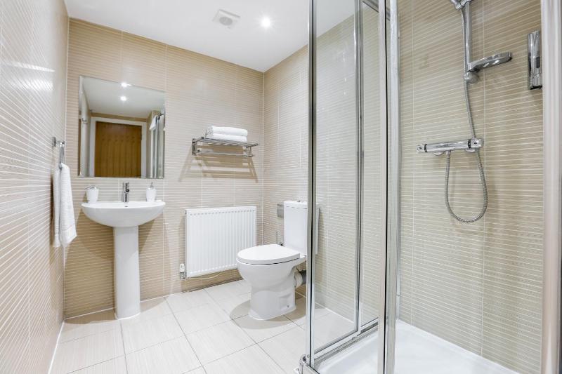 One-Bedroom Apartment image 3