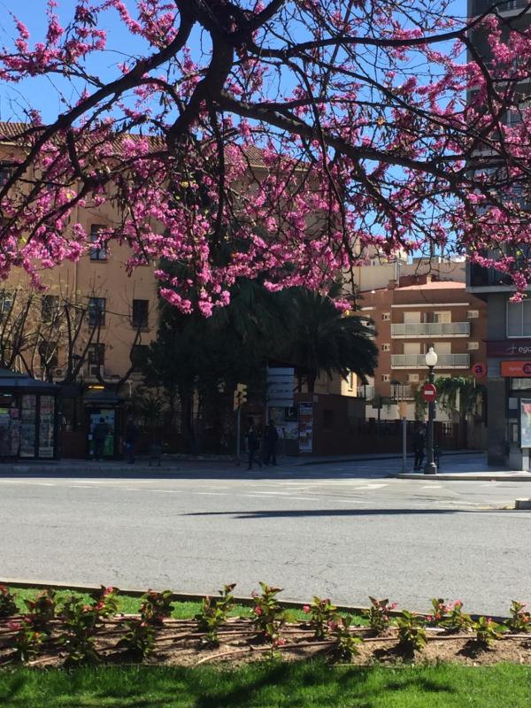 Hotel Cosmos Tarragona - image 44
