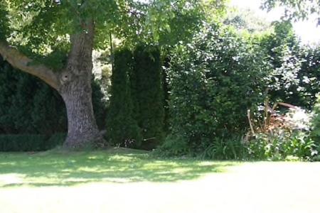 Walnut Grove Lodge - image 37