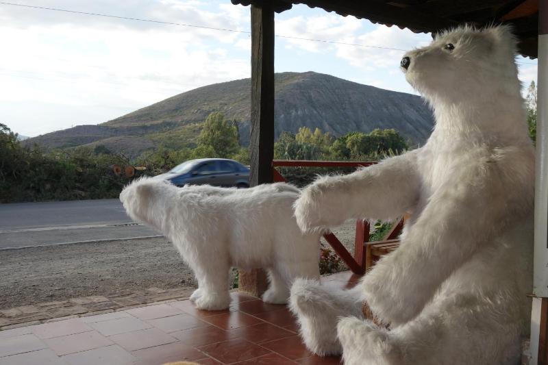 Hotel Spa Casa de Adobe Villa de Leyva - image 37