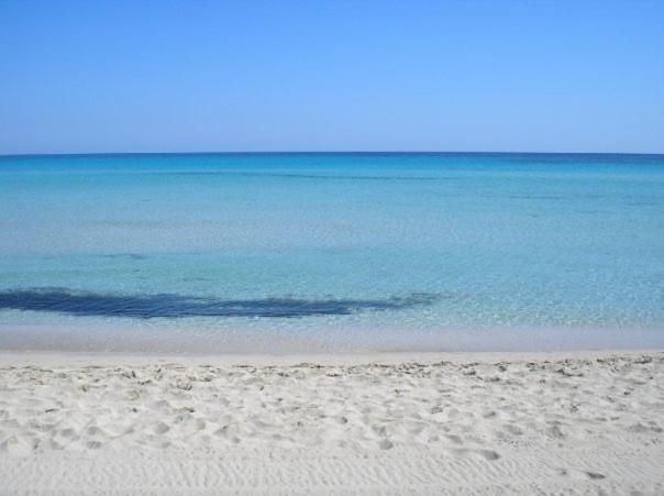 Hotel Altamarea - image 7