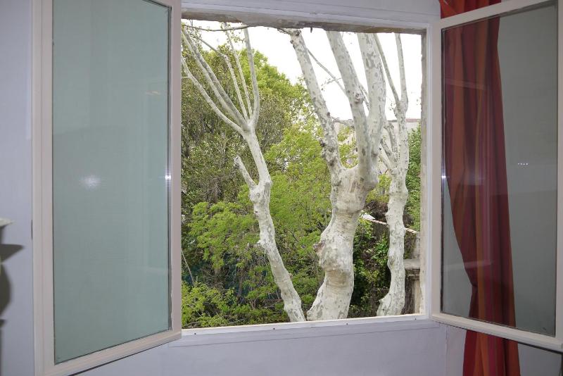 One-Bedroom Apartment with Bath (4 Adults) image 3