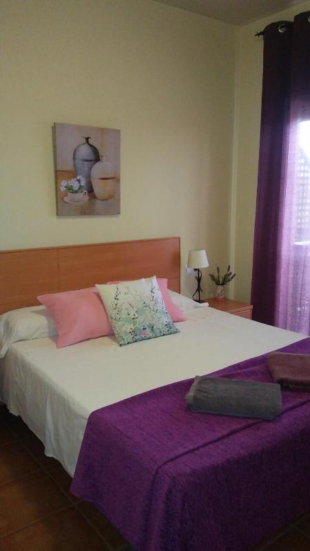 One-Bedroom Apartment image 4