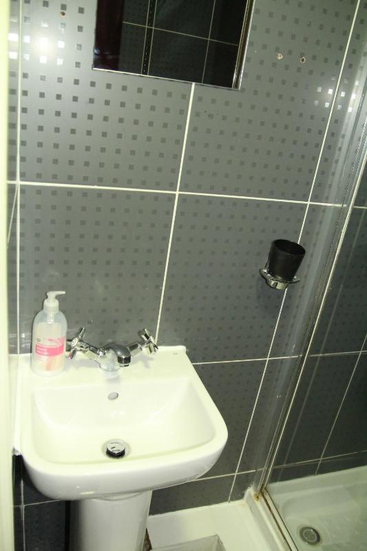 Family Room with Bathroom image 2