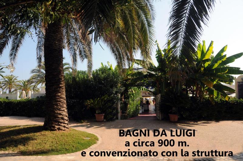 La casa di Luna - image 49