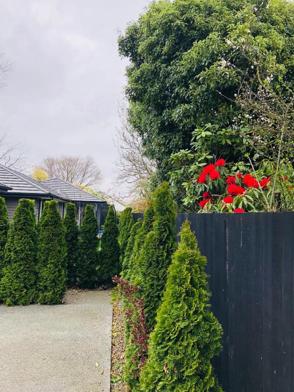Memorial holiday home - image 22