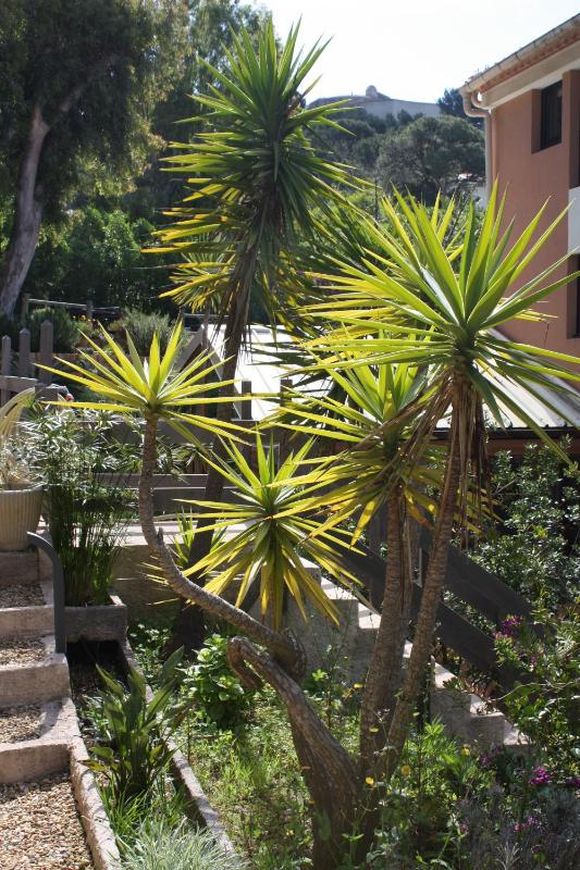Hotel Residence Les Medes - image 24