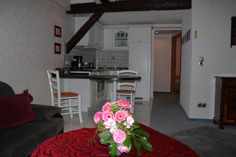 One-Bedroom Apartment image 2