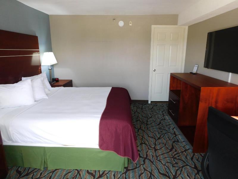King Room - Non-Smoking image 4