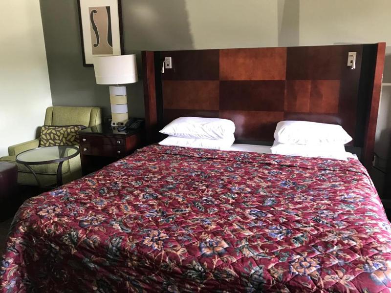 Standard Single Room image 2