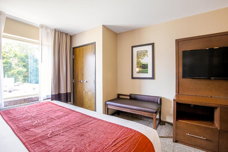 Queen Suite with Two Queen Beds - Non-Smoking image 3