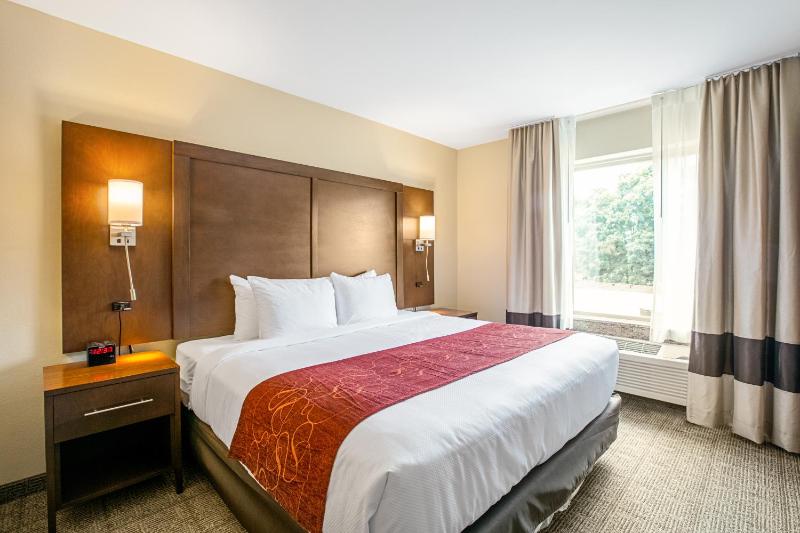 King Suite - Non-Smoking image 4