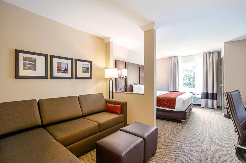 King Suite - Non-Smoking image 2