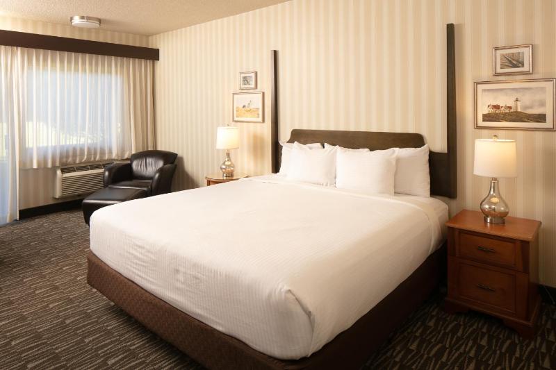 Premium King Room image 3