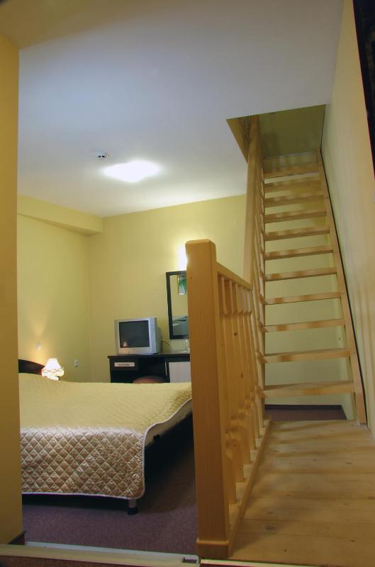 Duplex Double Suite image 3