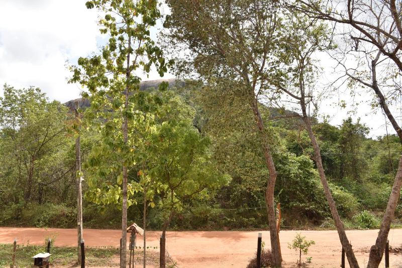 Pidurangala View Home Stay - image 13