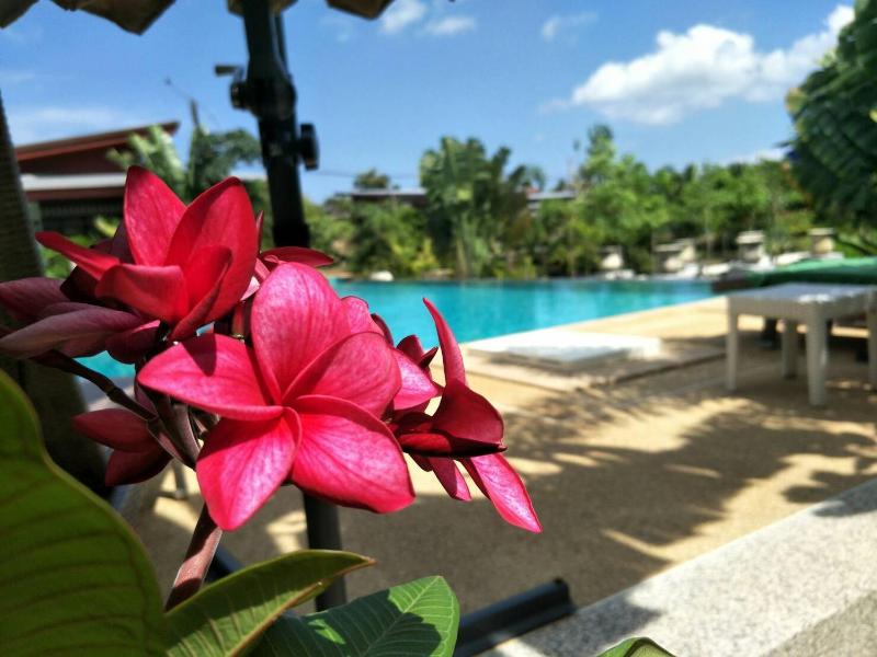 Arthaya Villas - SHA Extra Plus - image 15
