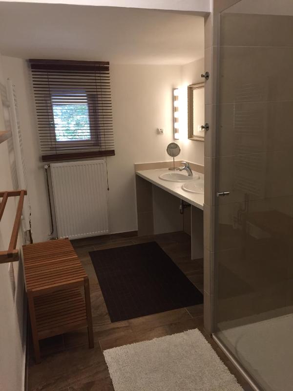 Standard Suite image 4